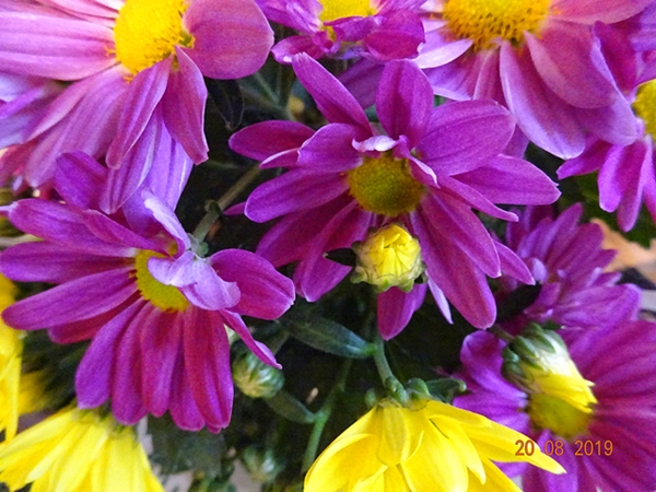 Жаль, не жаль - свои печали