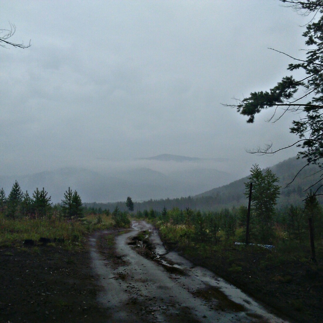 Скоро осень