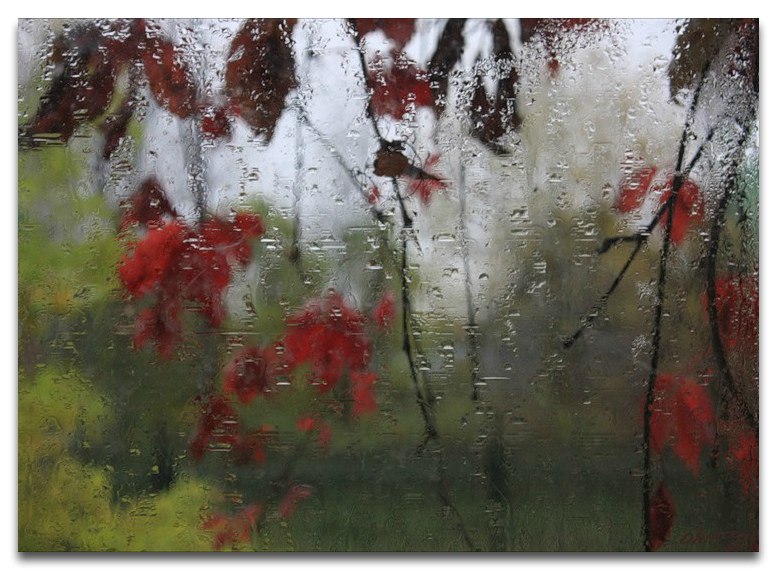 Ветви деревьев хлестать по стеклам. Осенний дождь. Осень дождь. Осенний дождь на окне. Дождь за окном.