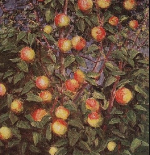 Августовский сад