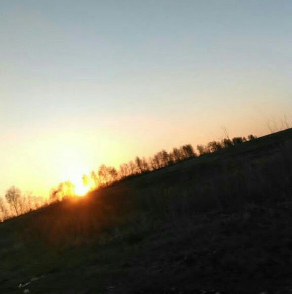 Юное чувство