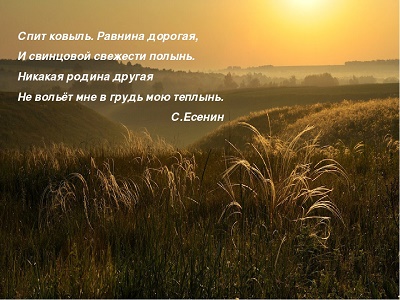 Королева пустынь