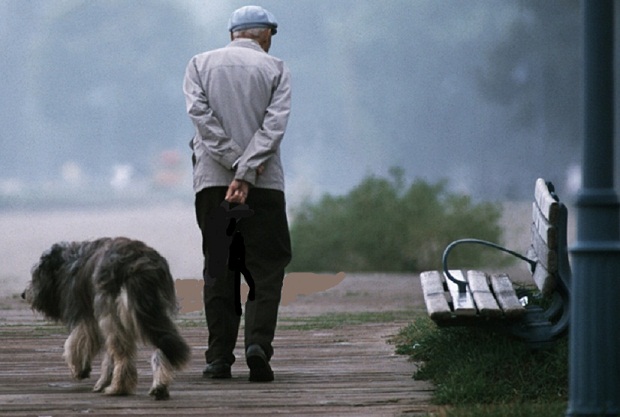 Бред не желаю оплачивать я!