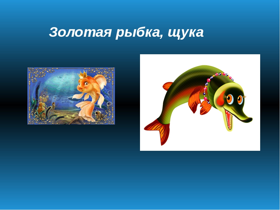 Золотая щука. Щука и Золотая рыбка. Щука Сказочная. Сказки про рыб. Рыба из сказки.