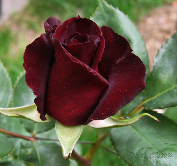 Как хорошо мы плохо раньше жили!