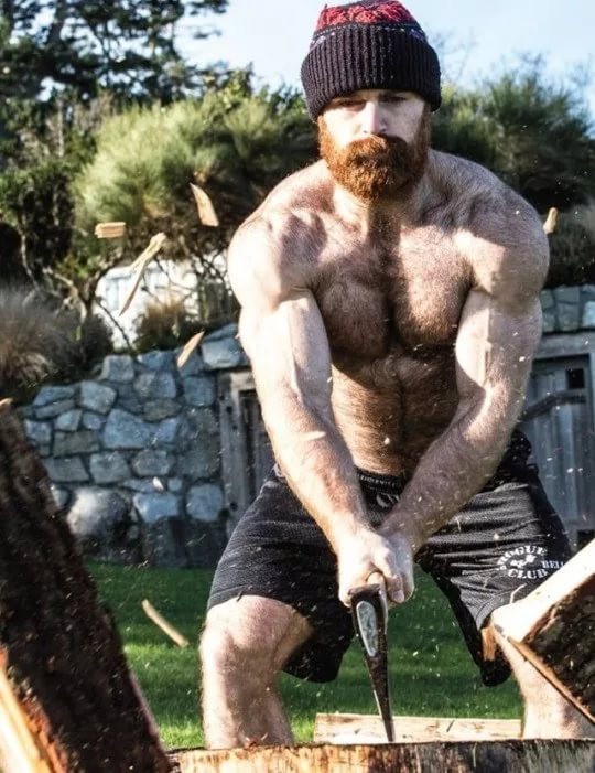 Bear men masculinity