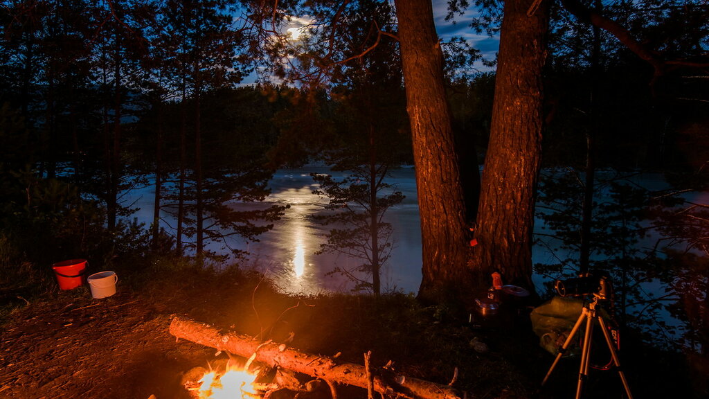 Ночь на берегу озера. Костер ночью. Костер у озера ночью. Костер у реки. Костер в лесу.