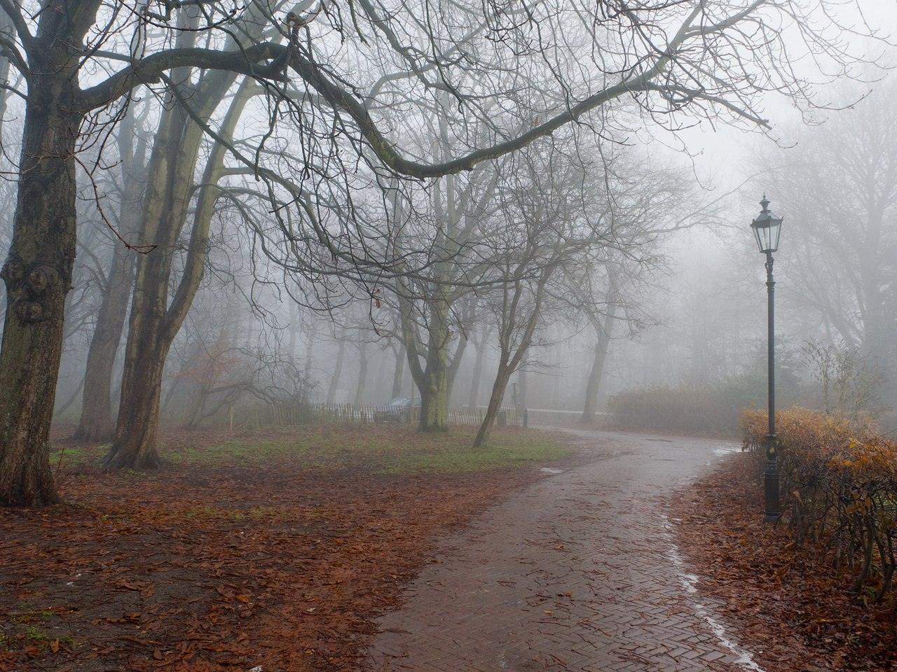 Глубокая осень, туман и дожди (Федотов Роман) / Стихи.ру