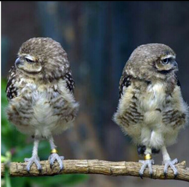 Куда денешься