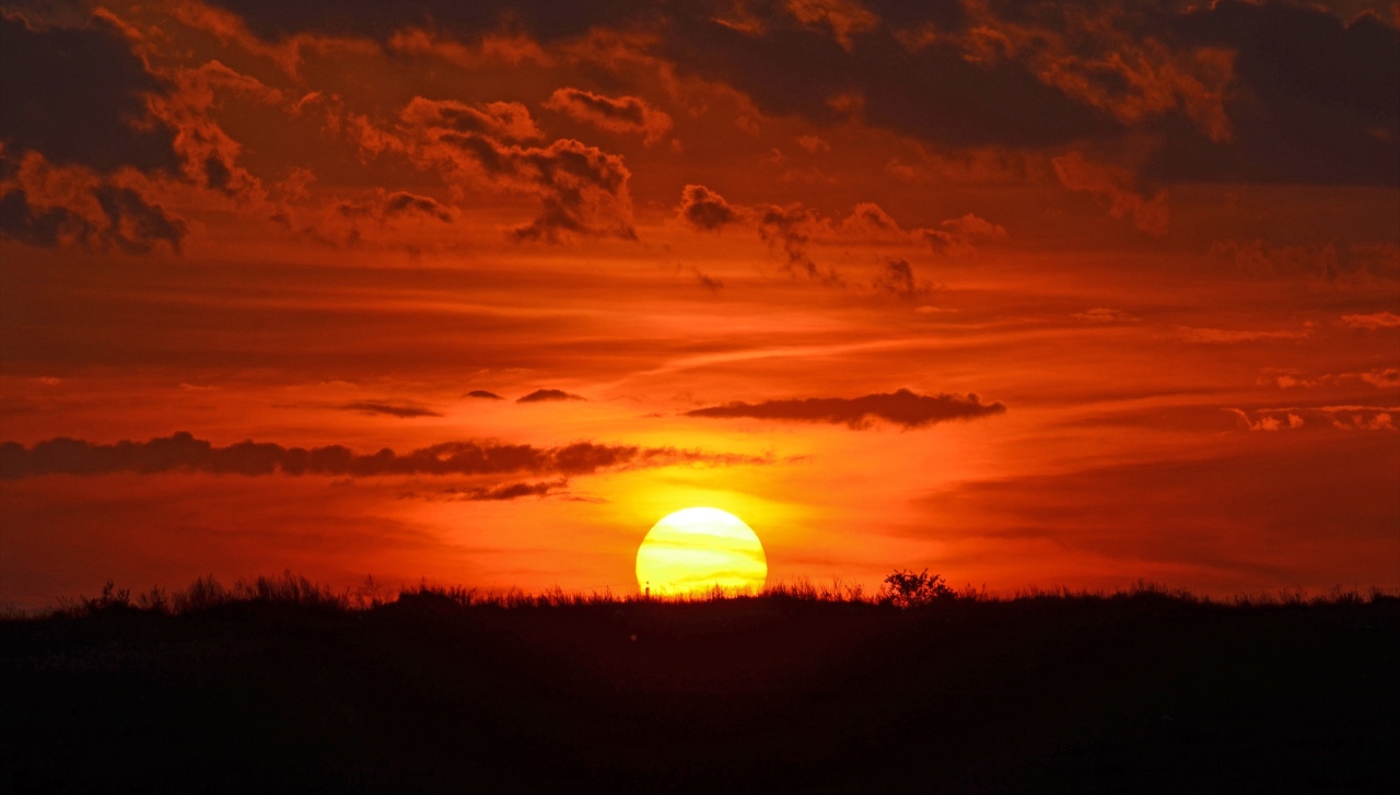 Желает каждый человек...