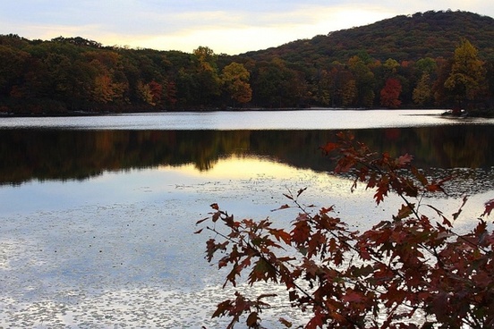 Липы чёрные кружевом веток