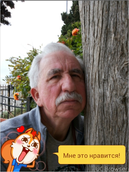 Причудливая вязь созвучий