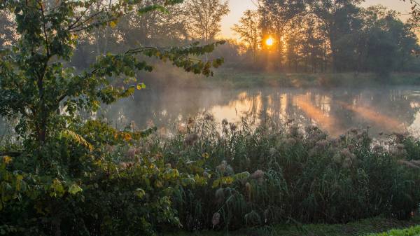 Уже запахло сентябрём