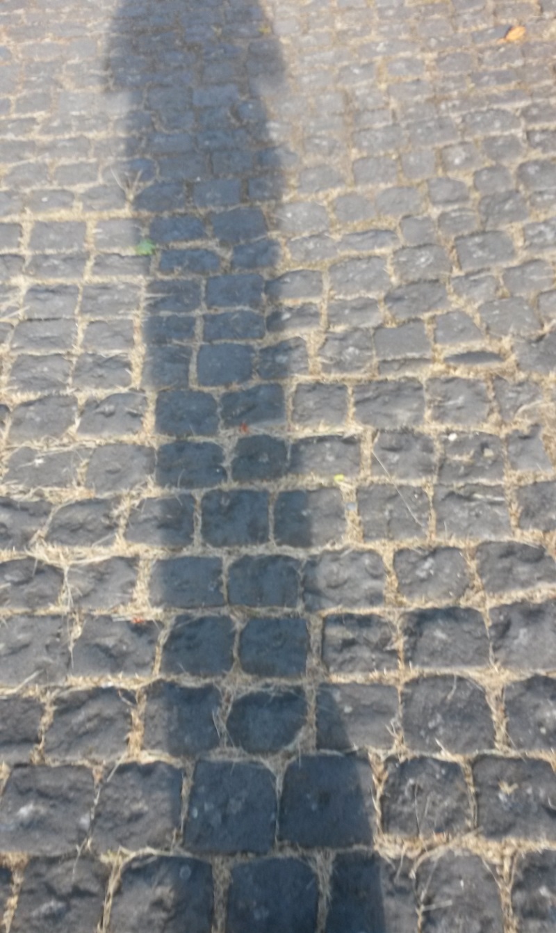 Засыпан облетевшею листвой