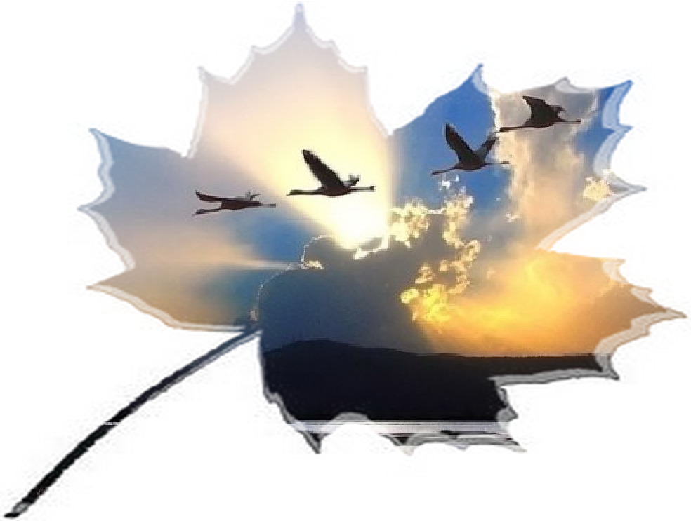 Ночь сентября