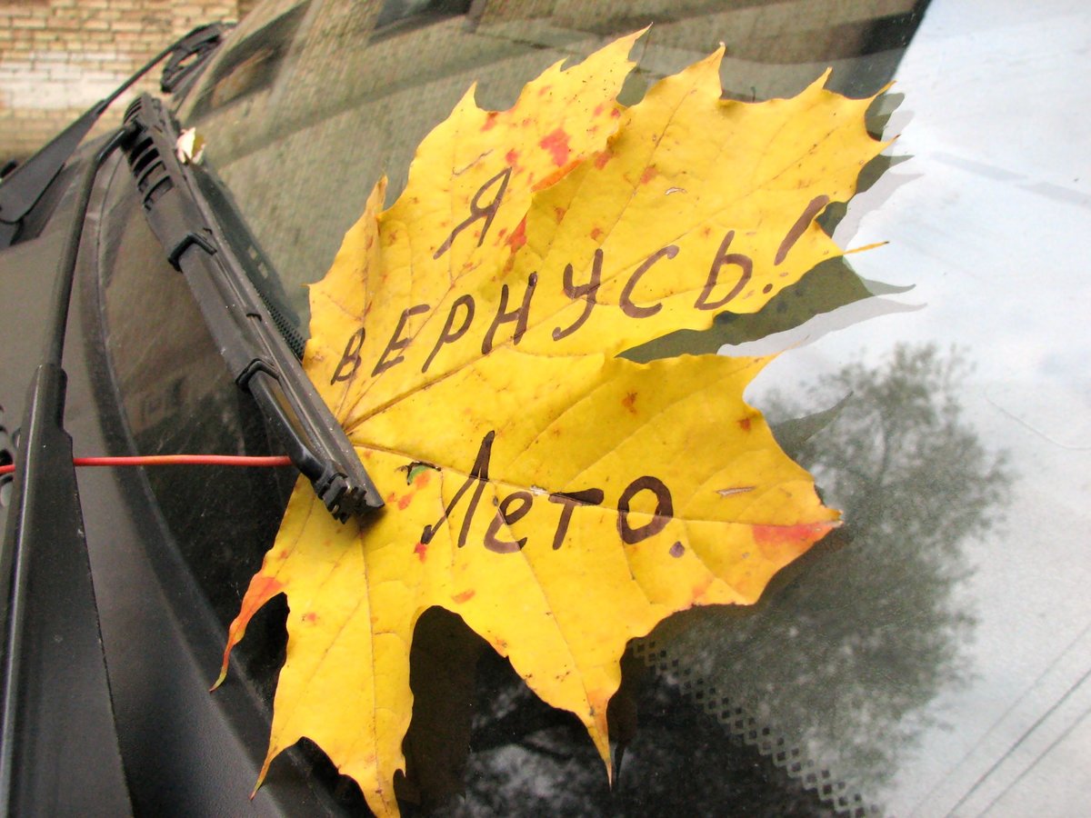 Я ухожу сказало лето. Я ухожу сказало лето. Я ухожу сказало лето. Осенние картинки с надписями. Открытка ты куда такая нарядная так лето говорят уходит.