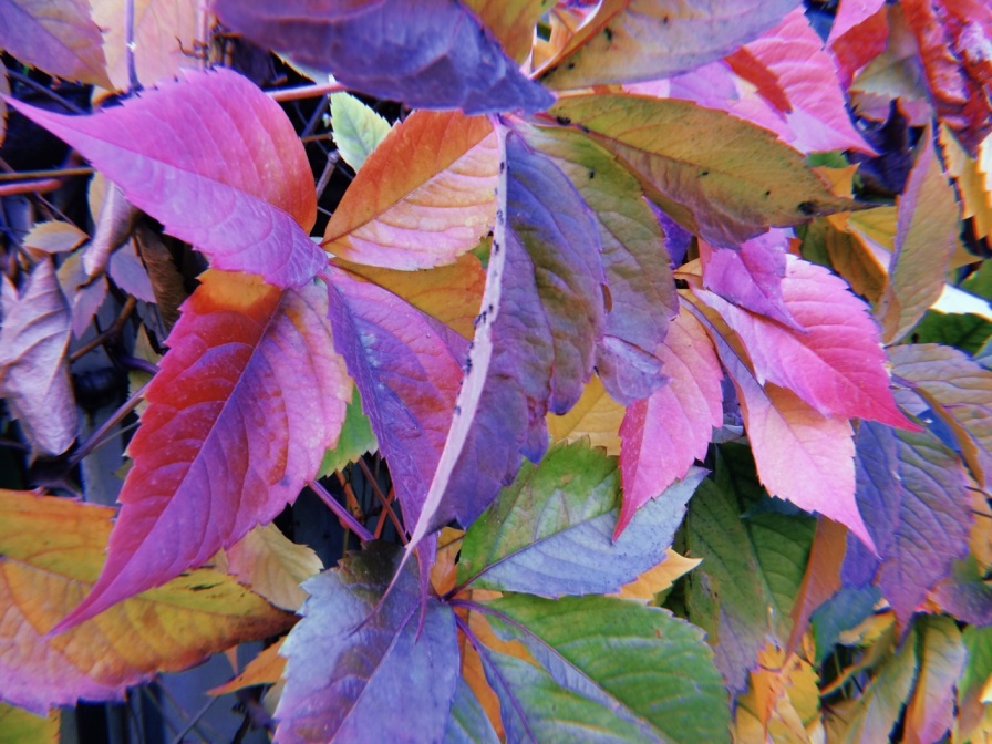 Пролетело как-то лето?