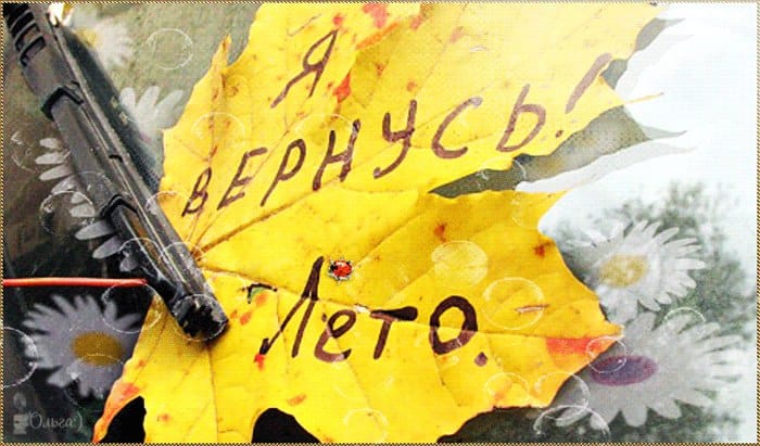 Попрощалось с нами лето