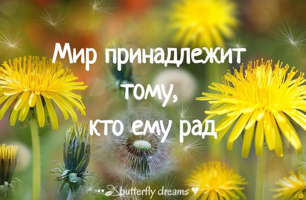 Картинки с добрым утром с одуванчиками с надписями
