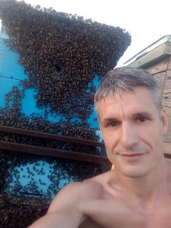 Пчелы вернулись домой...