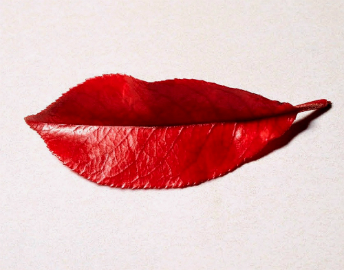 Вдруг разгулялось лето...