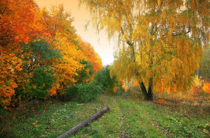 Природная краса так совершенна