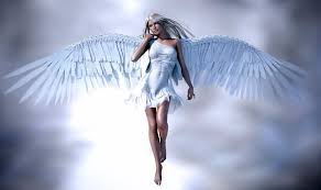 I am sorry for nothing