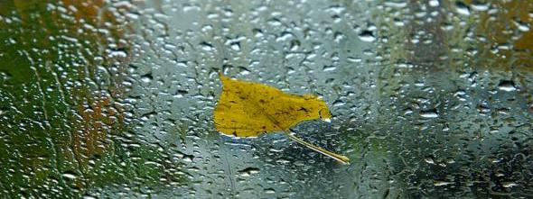 Блуждает Осень в позолоте