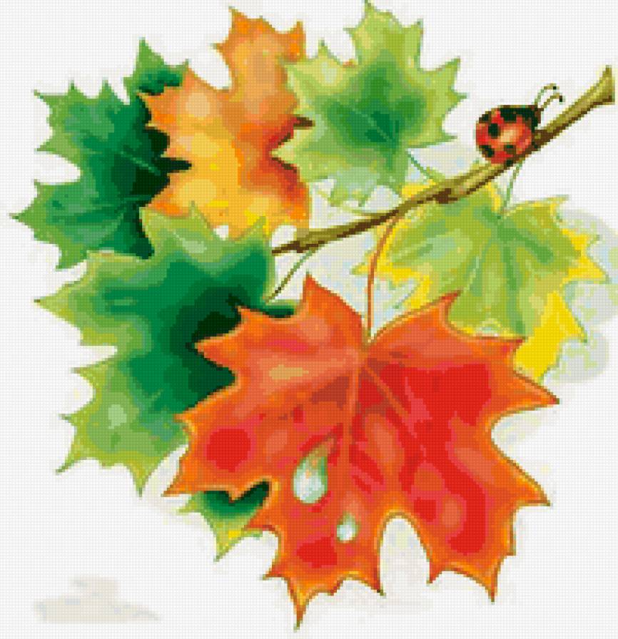 Осенний лист рисунок. Осенние листья. Осенние листочки. Листья рисунок. Кленовый лист рисунок.