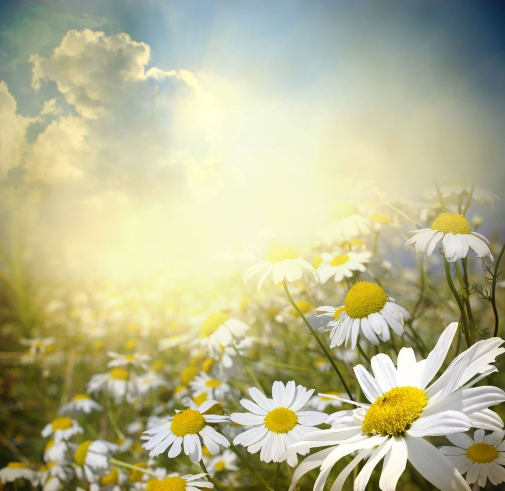 Словно лето в июле, забылось...