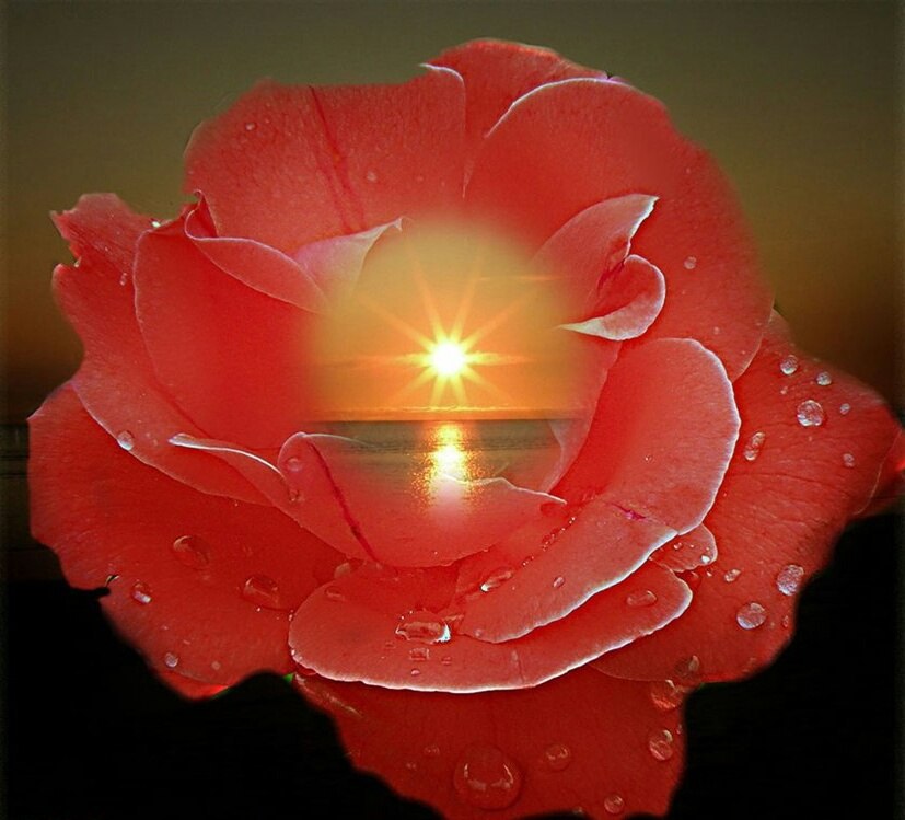 Добрый вечер света картинки