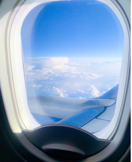 Встреча в аэропорту