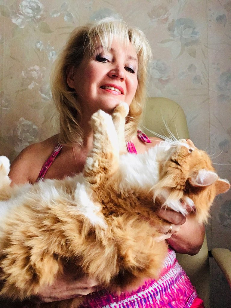 Рыжий кот. Посвящение С. Т. 2002