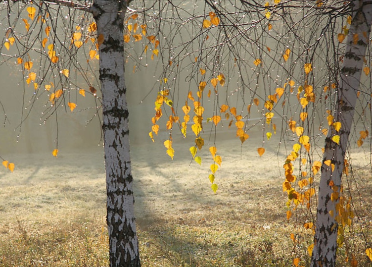 Грусть осенняя...