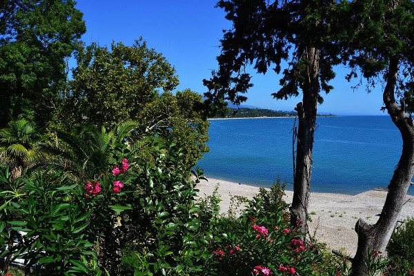 Бархатный сезон