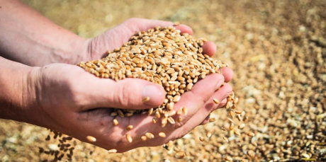 Билет в прошлое