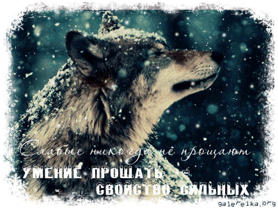 Братья-фонари