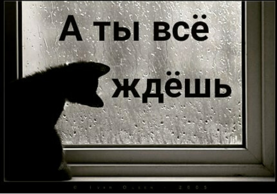 А ты всё ждёшь