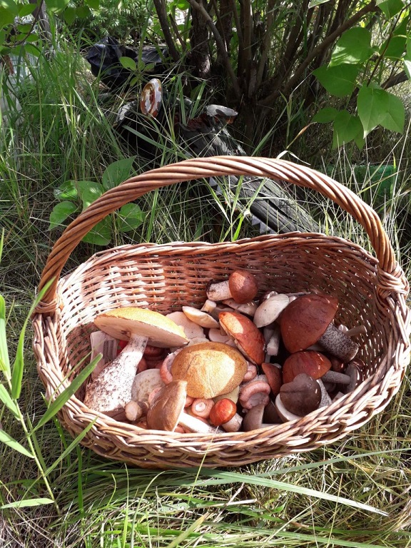 В ритме гармонии небо и твердь