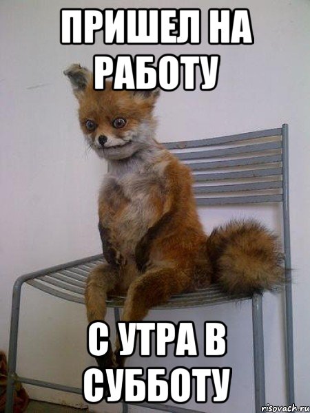 До отпуска осталось картинки прикольные