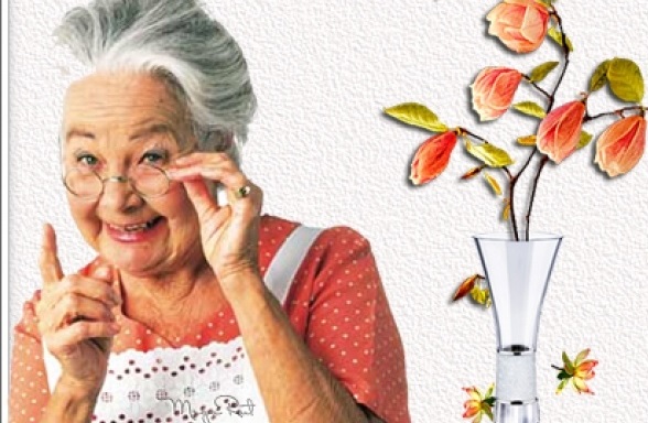 Бабушка Нельзя!