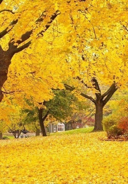 Сентябрьским утром