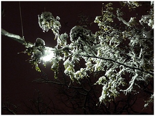 Как ночь длинна...