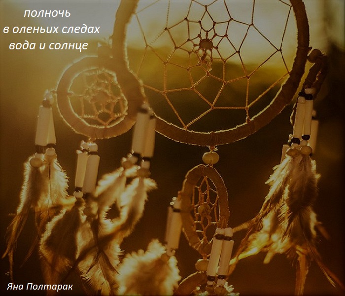 вода и солнце - КХ крыльев стрекозы блеск