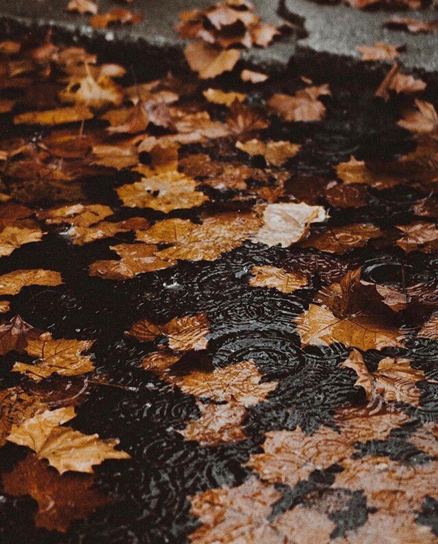 В осени красках