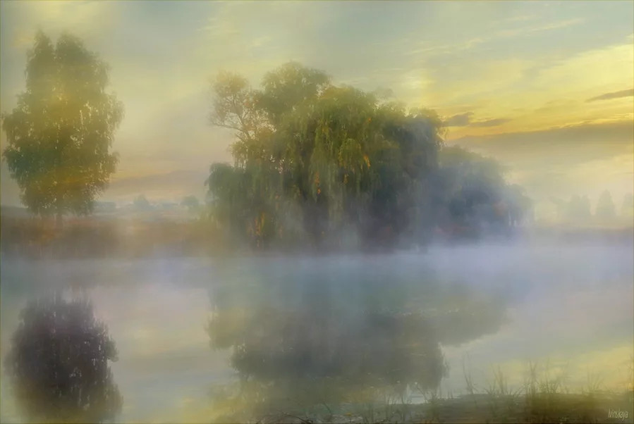 Уйдите, уйдите, туманы молочны!..