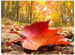 Осень - грусть