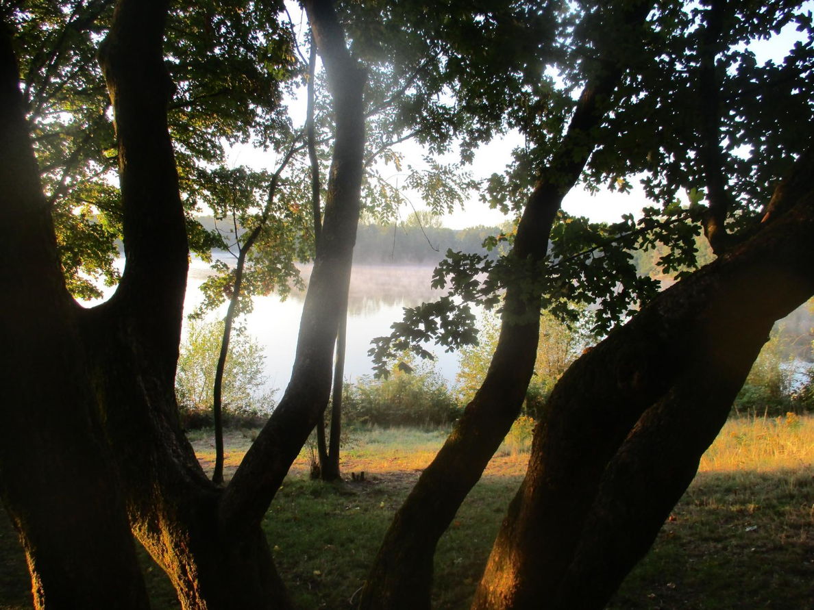 Утренняя заря... (Рудакова Ольга Дмитриевна) / Стихи.ру