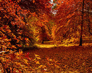 Парфюм осенний с запахом дождя