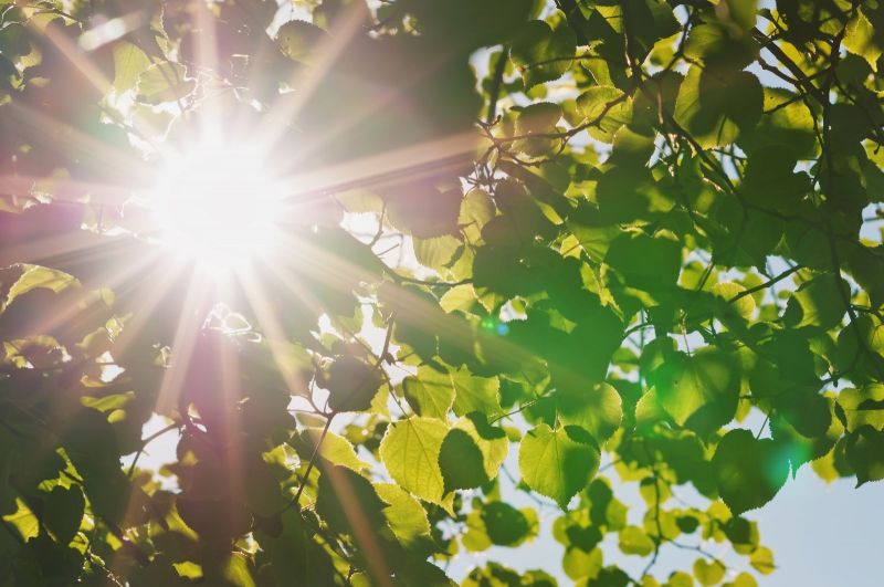 Три дня с солнцем...